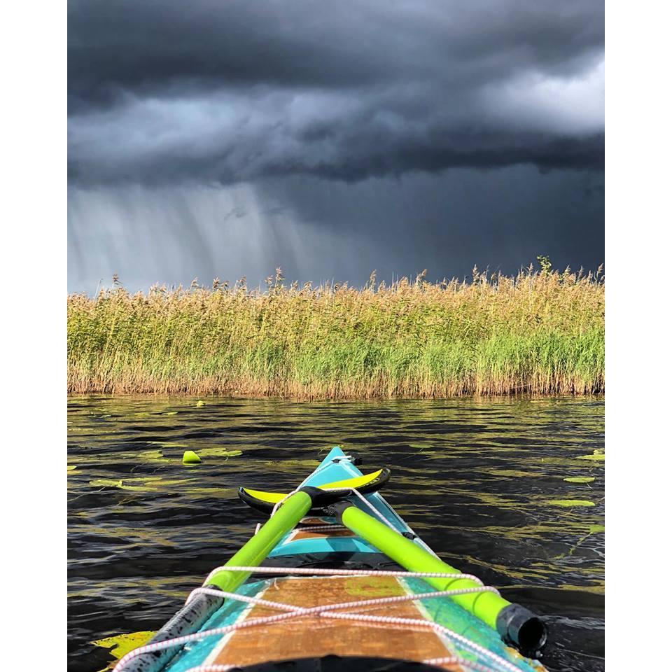 Greentip Hydra Wingpagaj, Carbon